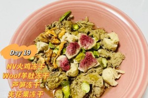 泰迪平时的饮食习惯与营养需求（探索泰迪狗狗的饮食喜好和健康食谱）