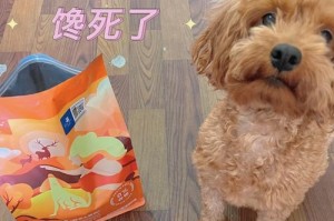 狗吃土的持续时间及影响（调查发现狗吃土的现象普遍存在，为何狗会吃土？）
