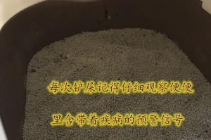 揭秘宠物猫便血背后的寄生虫真相（了解宠物猫便血原因，保护我们的爱宠健康）