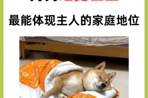 成年狗狗的睡眠时间有多长？（探索成年狗狗的睡眠需求及其影响因素）