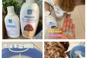 夏季泰迪的洗澡频率应该是多久？（探讨夏季泰迪洗澡的最佳频率和注意事项）