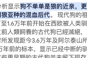 哈士奇打完狂犬疫苗多久能洗澡？（洗澡前后的注意事项及清洁方法）