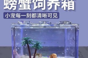 鱼缸饲养的螃蟹（螃蟹在鱼缸中的适应性及关键因素）