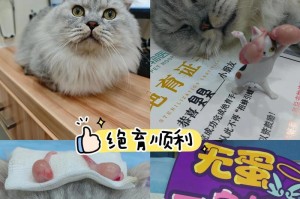 公猫绝育后的脱毛情况及时间（公猫绝育后多久开始脱毛？脱毛的原因和注意事项是什么？）