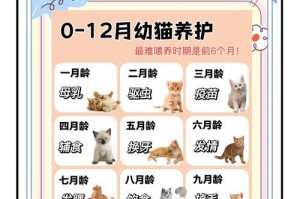 猫咪内驱喂食频率探究（每日一餐是否足够满足猫咪内驱需求？）