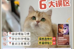 小猫饮食习惯揭秘——多久吃一次（探究小猫进食频率的）