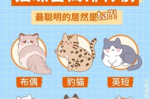 猫咪智商排行榜！探索世界上最聪明的猫咪们（发现聪明猫咪的能力与特点，带你领略猫咪智商的奇妙世界）