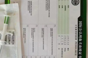 揭秘东德血统证的来龙去脉（了解东德血统证的类型、申请流程和社会影响）