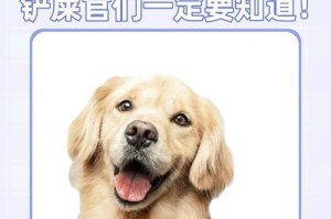 小狗的绝食时间及健康影响（了解小狗不吃不喝的时间限制以及对身体健康的影响）
