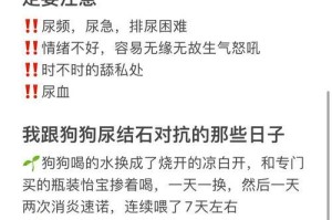 夏日养狗注意事项（让你的狗狗度过一个愉快的夏天）