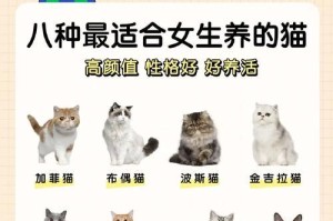 选择这6种猫，轻松养宠无压力（挑选适合你的理想猫咪，让生活更有趣）