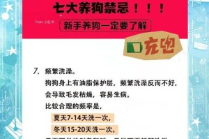 夏季养狗攻略（以夏季为背景，探讨养狗的注意事项）