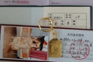 合法养狗手续详解（掌握养狗的合法要求，享受快乐的宠物生活）