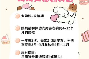 母狗生孩子需要多长时间？（了解母狗分娩过程与时间）