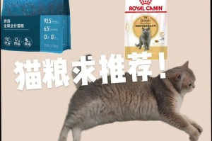 如何避免猫粮导致肥胖问题（选择低热量猫粮，让你的猫咪保持健康身材）