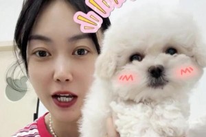 比熊幼犬疫苗接种时间表（打疫苗保护宝贝狗狗健康）