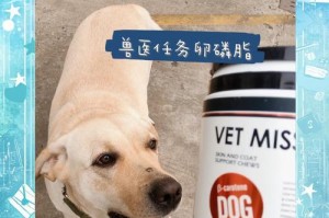 宠物卵磷脂的作用及见效时间详解（了解宠物卵磷脂的功效和使用期限，让宠物更加健康）
