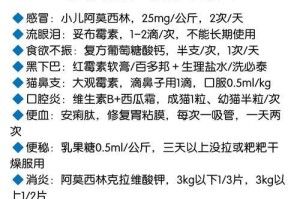 养猫的时间会影响猫咪的熟悉程度（猫咪适应主人的时间长短取决于与主人相处的时间和互动）