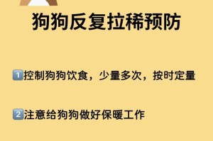 狗拉肚子应该吃什么？（为你的爱犬选择合适的食物）