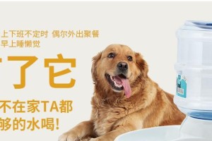 泰迪幼犬多久可以开始喝水？（探究泰迪幼犬饮水时间的最佳时机）