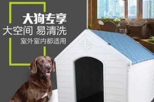 狗笼清洗指南（养狗人士必知的狗笼清洗常识与技巧）
