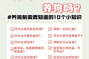 狗狗换牙期间的照顾要点（如何帮助宠物狗狗度过换牙期）