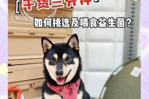 狗狗吃益生菌（益生菌对狗狗的功效与注意事项）