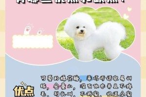 比熊犬一生的6大时期及饲养注意事项（为你的比熊宝宝提供全方位的呵护和关爱）