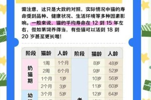 龙猫的魅力与寿命（探索龙猫世界，揭秘其长寿之谜）