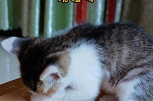 小猫的爪子会在多长时间内生长出来？（了解小猫爪子生长周期的关键因素是什么？）