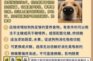 狗狗断奶及喂食方法解析（适当断奶时机、科学喂食方法、）