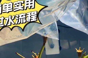 新入缸鱼需要适应环境的时间（了解鱼类适应新环境的关键因素及时间预估）