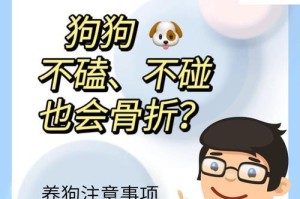 狗狗骨折治愈时间的探究（了解狗狗骨折康复时间，让我们的宠物尽快康复）