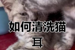 如何用猫耳朵清理耳朵？（掌握正确方法，有效清除耳垢）