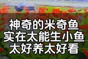 鱼缸容量与鱼类数量的科学关系解密（通过科学公式计算鱼缸适宜容纳鱼类的数量）