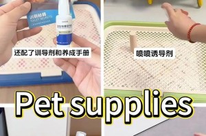 宠物清洁用品，打造清洁宠物环境（为你的爱宠提供完善的清洁保障）