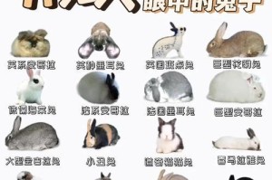 兔子的特点与习性（探索兔子的可爱与智慧）