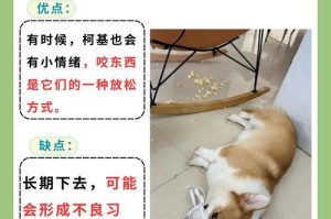 狗狗啃骨头的适宜时间有多久？（揭秘狗狗啃骨头的正确持续时长）
